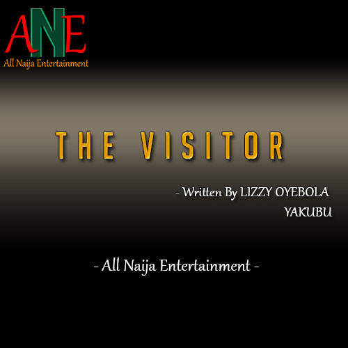 THE VISITOR