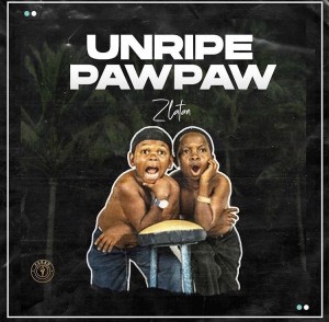 Zlatan Ibile Unripe paw paw