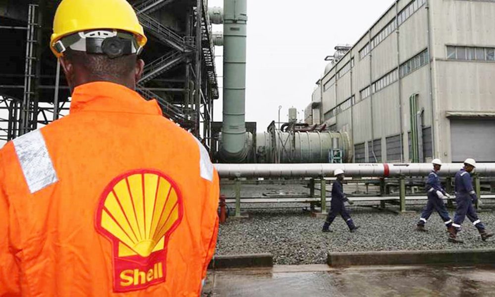 Shell Companies in Nigeria (SCiN)