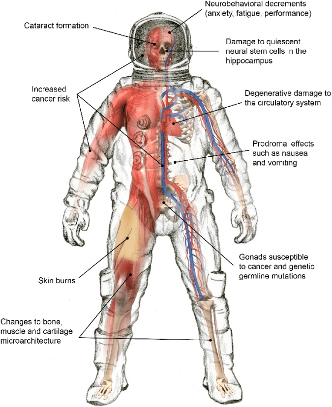 How NASA might protect tomorrow's astronauts from deep space radiation