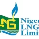 NLNG receives entries for literature prize, releases longlist