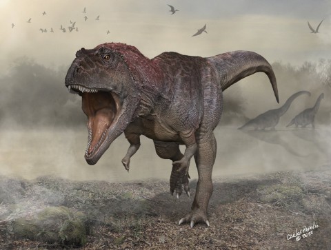 An artist’s impression of Meraxes, a giant predatory dinosaur unearthed in South America.