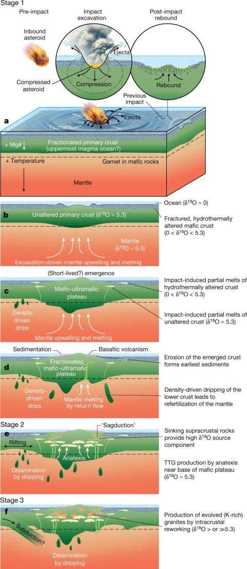 The three stage evolution of the Pilbara Craton. Stage 1 (a-d) – A giant meteorite altered the crust, reducing pressure and causing the mantle to melt deeper and deeper into the Earth. Stage 2 (e) – Granite magmas (TTGs) begin to form at the base of the newly formed plateu. Stage 3 (f) – The TTGs melt to form granite and are pushed to the surface.