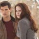 Compose yourselves, 'Taylor Lautner is open to playing Jacob Black again' – Twilight fans