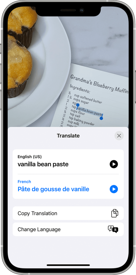 Your iPhone has several ways to translate text