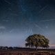 How and when to view the best meteor shower of the year, the Perseids meteor shower, in 2022