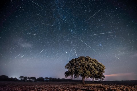 How and when to view the best meteor shower of the year, the Perseids meteor shower, in 2022