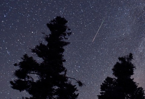A Perseid meteor streaks across the sky during the annual shower