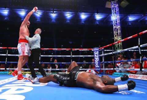 Fury knocked out Dillian Whyte at Wembley