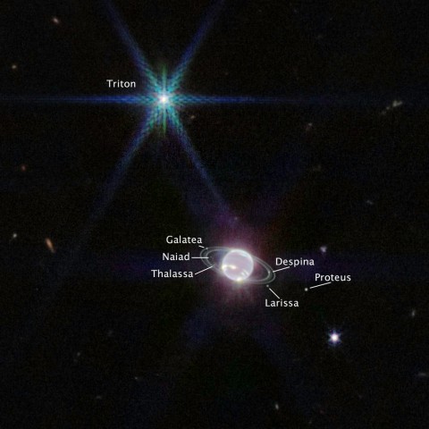 Neptune’s moons are also visible in the image