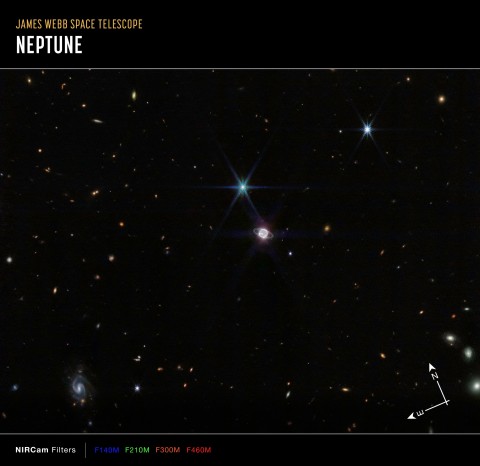 A smattering of hundreds of background galaxies, varying in size and shape, appear alongside the Neptune system. 