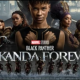 Wakanda Forever: Marvel reveals identity of Black Panther in official trailer