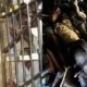 Over 51 thousand inmates awaiting trial in Nigerian prisons – Minister