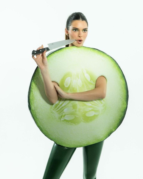 Kendall Jenner’s outfit certainly wasn’t ‘cumber-some
