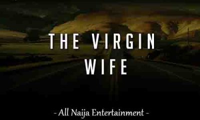 The Virgin Wife - ANE Story