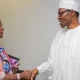 Buhari appoints Lauretta Onochie as NDDC board Chairman
