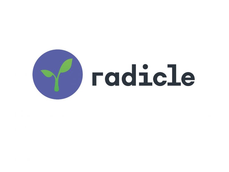 A Beginner's Guide to Radicle (RAD): The Future of Peer-to-Peer Development