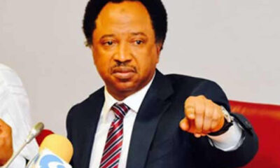 Shehu Sani denounces the DSS raid on SERAP’s office