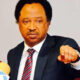 Shehu Sani denounces the DSS raid on SERAP’s office