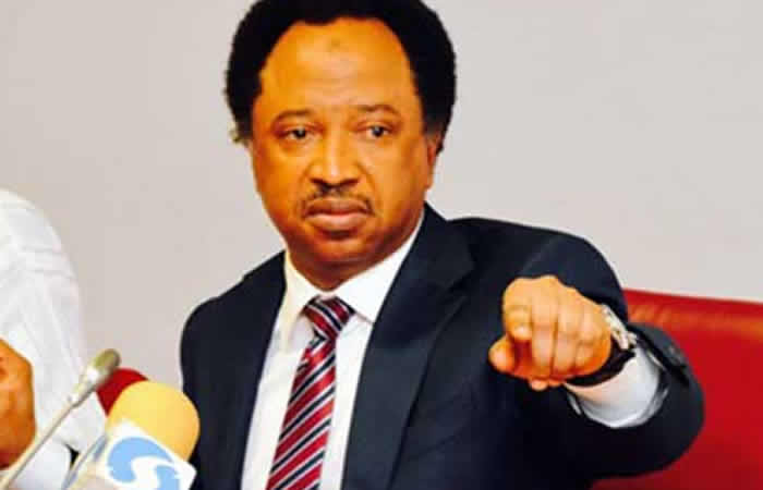 Shehu Sani denounces the DSS raid on SERAP’s office