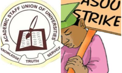 If we go on strike, put the blame on FG — ASUU