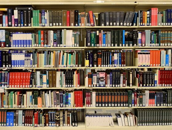 Library Books Bookshelves