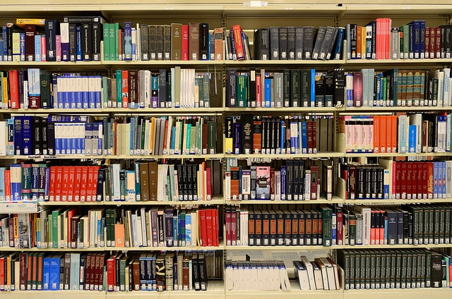 Library Books Bookshelves