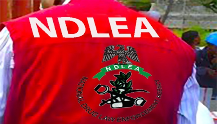 NDLEA arrests Canada-based nurse and businessmen for drug trafficking