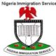 Immigration plans digital passport renewal for Nigerians abroad