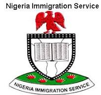 Immigration plans digital passport renewal for Nigerians abroad