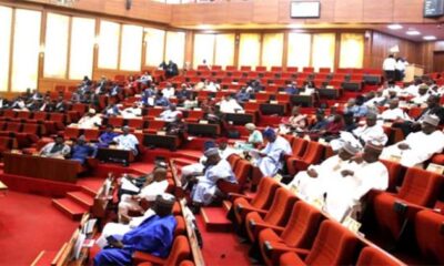 Senators divided over new regional development commissions’ funding