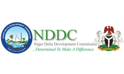 NDDC seeks UAE collaboration on youth development, health and education